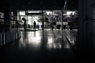 Andrea Bauer   Ein Lichtblick